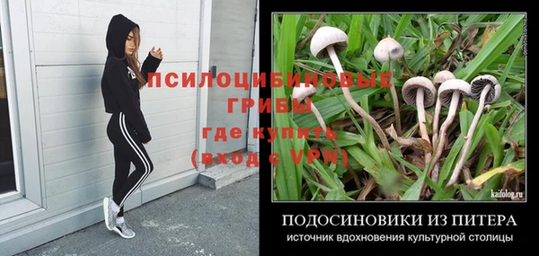 таблы Переславль-Залесский