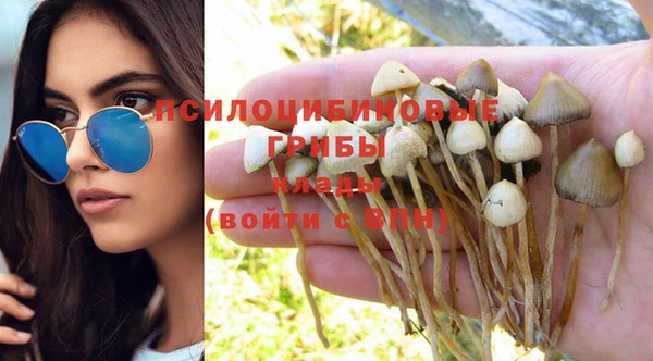 стафф Остров
